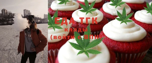 индика Бородино