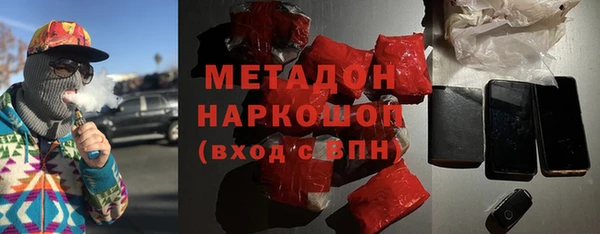 индика Бородино