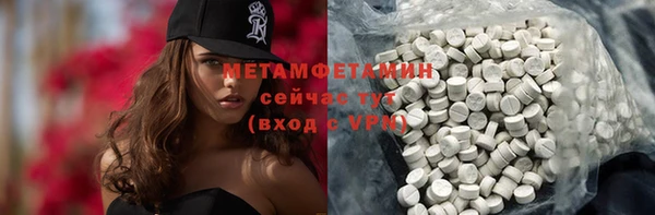 индика Бородино