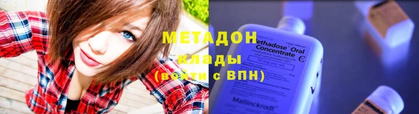 индика Бородино