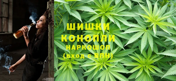 индика Бородино