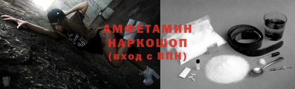 индика Бородино