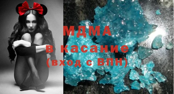 индика Бородино