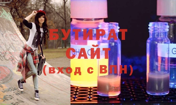 индика Бородино