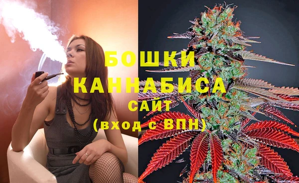 индика Бородино