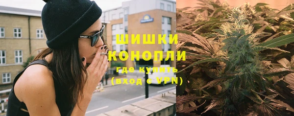 индика Бородино