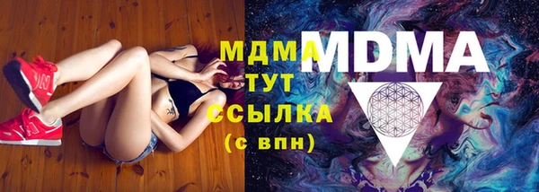 индика Бородино