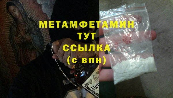 индика Бородино