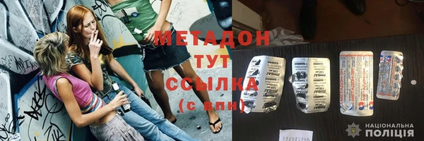 индика Бородино