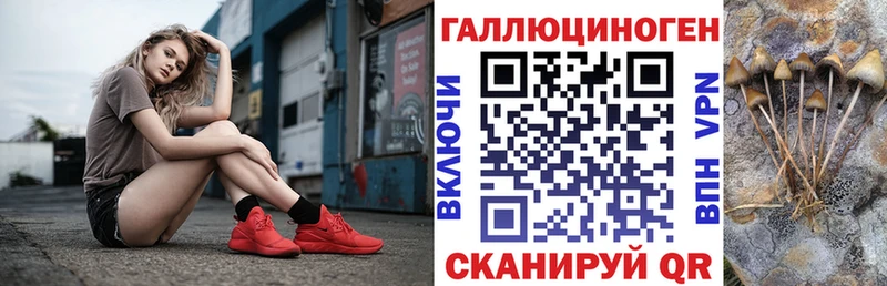 Псилоцибиновые грибы GOLDEN TEACHER  blacksprut как войти  Мураши 